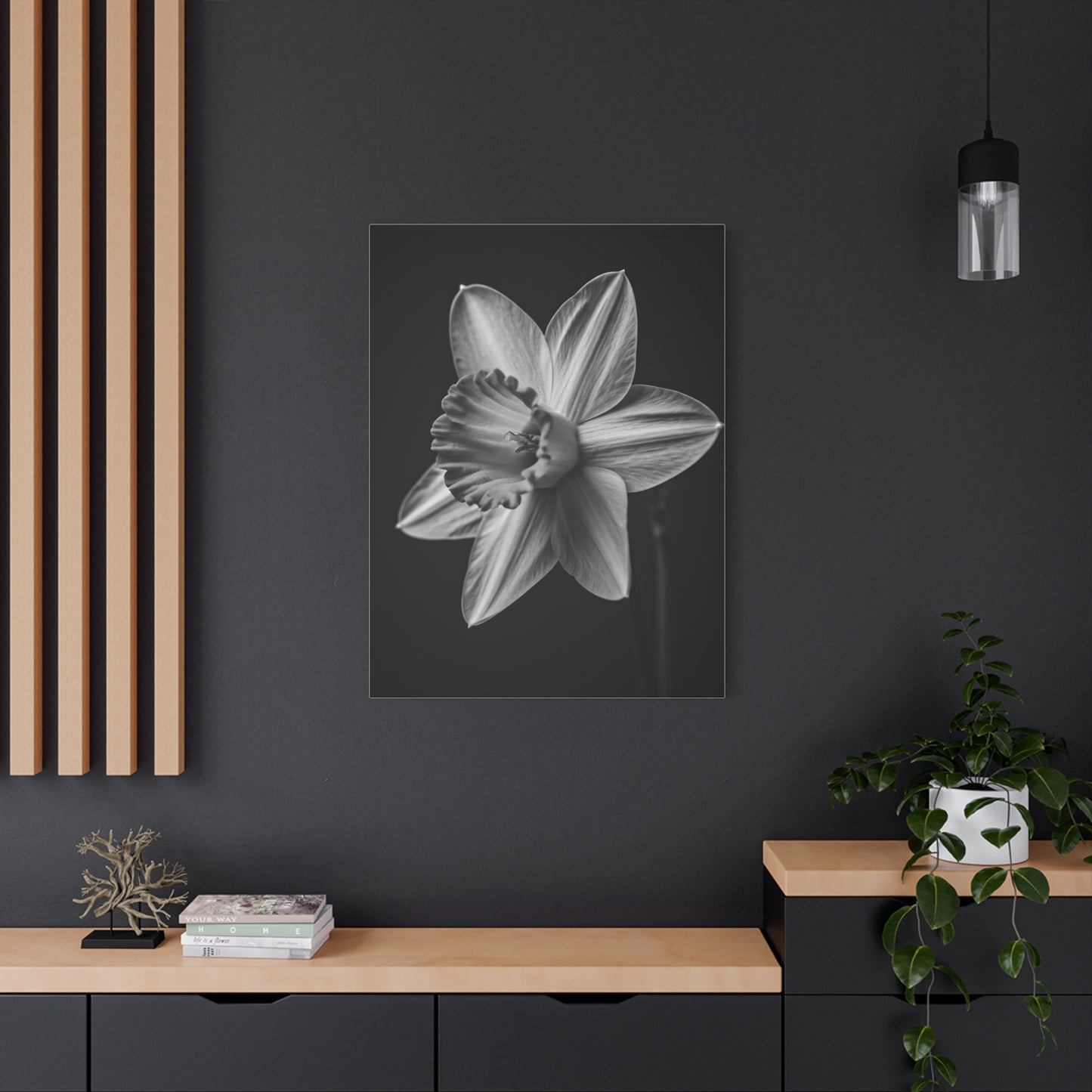 Monochrome Daffodil Grace Wall Art & Canvas Prints