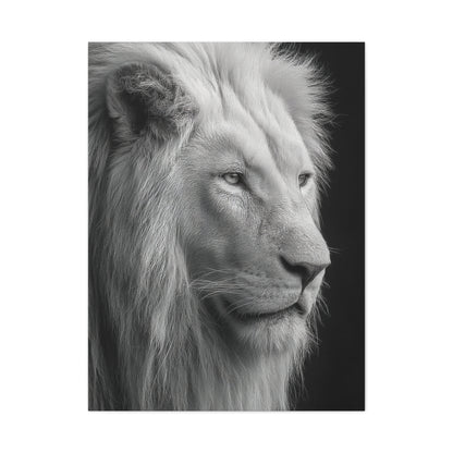 White Lion Monochrome Close Portrait Wall Art & Canvas Print
