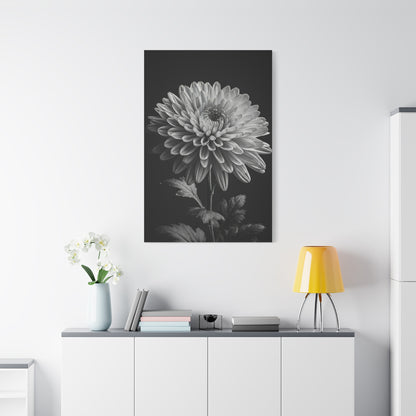 Chrysanthemum Bloom in Noir Wall Art & Canvas Prints