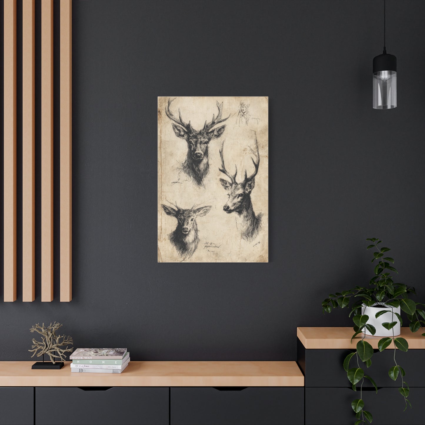 Vintage Natural History Deer Study Wall Art & Canvas Print