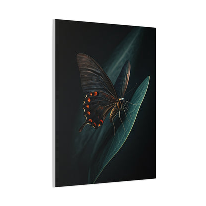Dark Swallowtail Butterfly on Leaf Wall Art & Canvas Prints