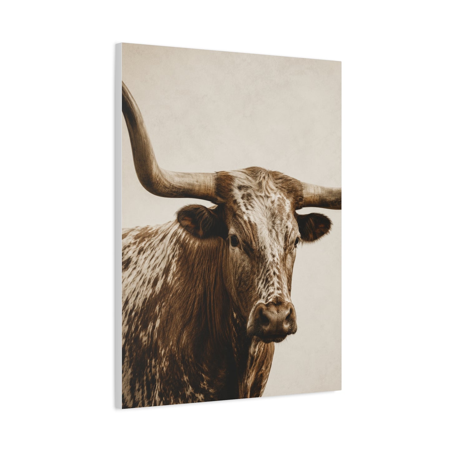 Texas Longhorn Heritage Portrait Wall Art & Canvas Print