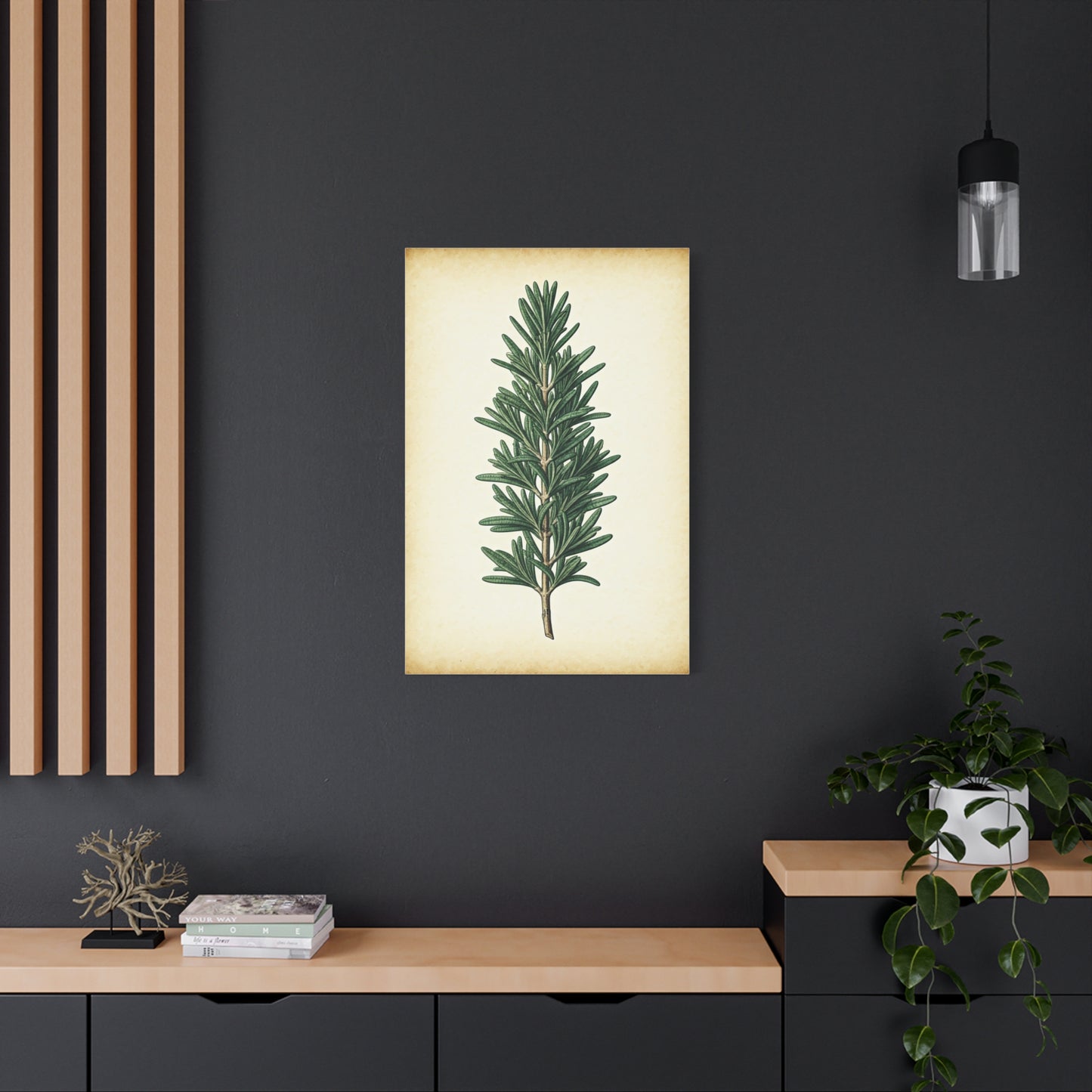 Rosemary Herb Vintage Study Wall Art & Canvas Prints
