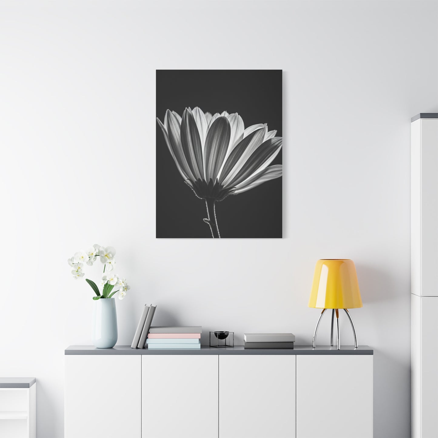 Classic Gerbera Bloom in Shadow Wall Art & Canvas Prints