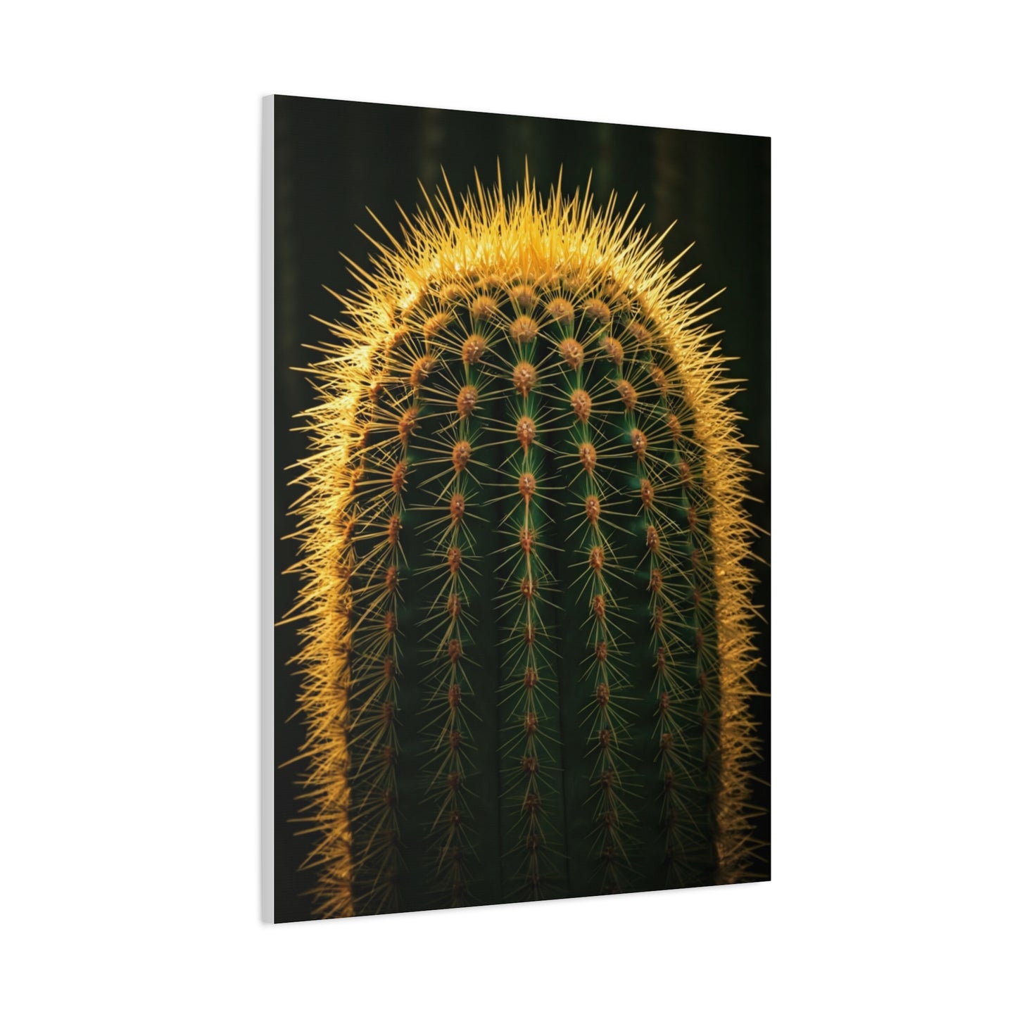 Radiant Barrel Cactus Glow Wall Art & Canvas Prints