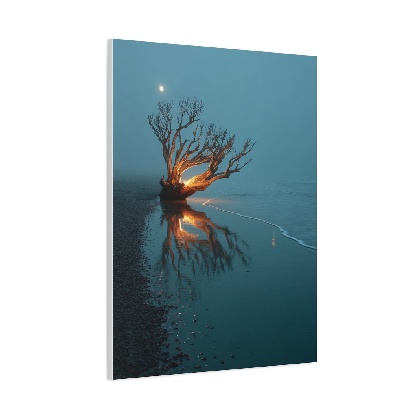 Moonlit Driftwood Shore Wall Art & Canvas Print