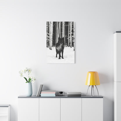 Snow Forest Black Wolf Minimal Scene Wall Art & Canvas Print