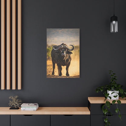 Powerful Buffalo Staring Forward Wall Art & Canvas Prints