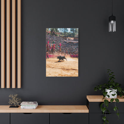 Latin American Bull Festival Arena Wall Art & Canvas Print