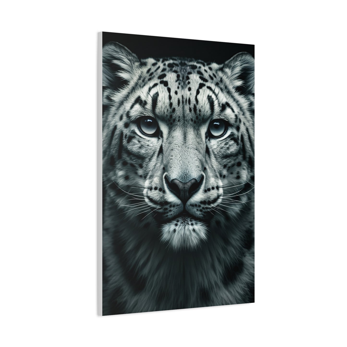 Snow Leopard Intense Gaze Wall Art & Canvas Prints