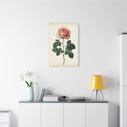 Vintage Rose Illustration Wall Art & Canvas Prints