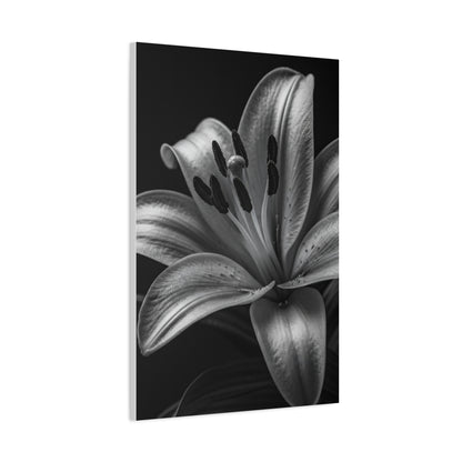 Lavender Silhouette in Low Light Wall Art & Canvas Prints