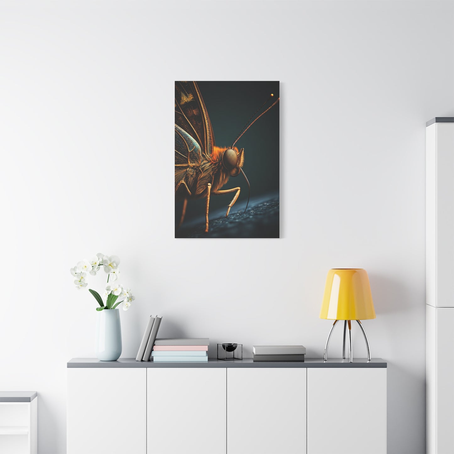 Butterfly Macro Anatomy Close-Up Wall Art & Canvas Prints