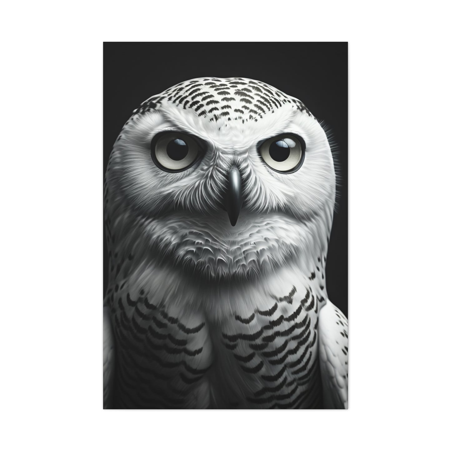 Snowy Owl Intense Gaze Wall Art & Canvas Prints