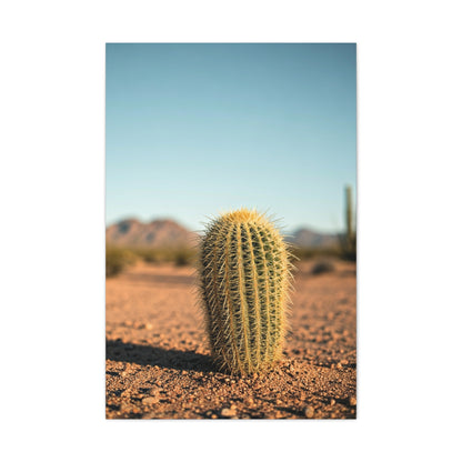 Barrel Cactus Desert Minimalism Wall Art & Canvas Prints