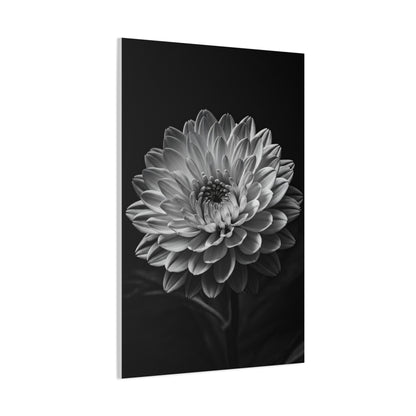 Full Bloom Dahlia Portrait Wall Art & Canvas Prints