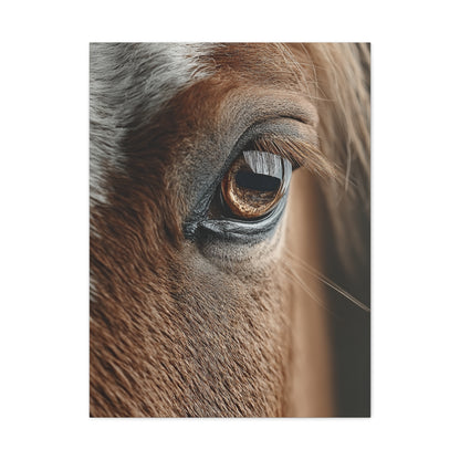 Horse Eye Macro Emotional Detail Wall Art & Canvas Print