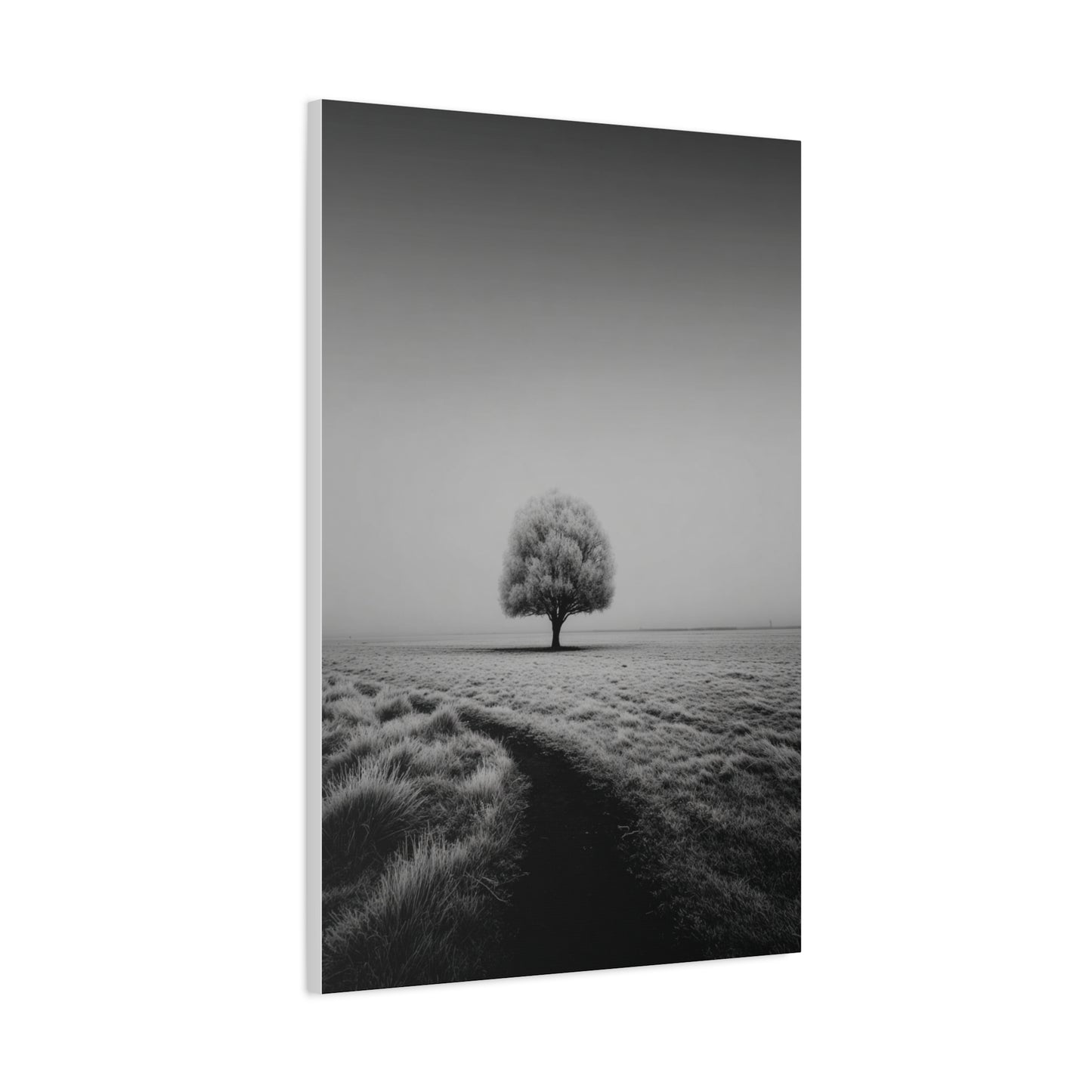 Lone Tree Winter Field Wall Art & Canvas Print