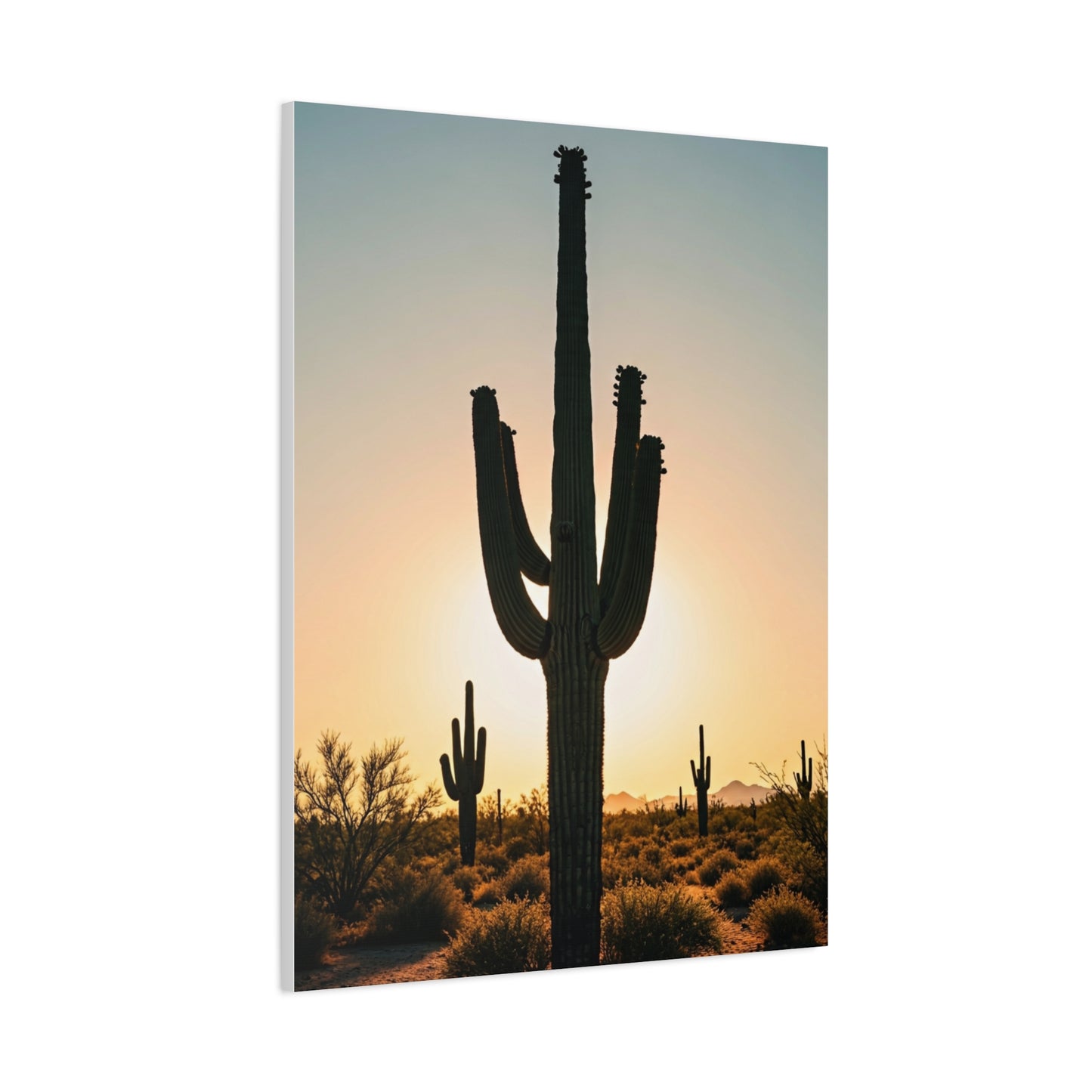 Sunset Saguaro Silhouette Wall Art & Canvas Prints