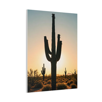 Sunset Saguaro Silhouette Wall Art & Canvas Prints