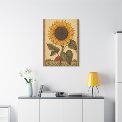 Heritage Field Sunflower Illustration Wall Art & Canvas Print