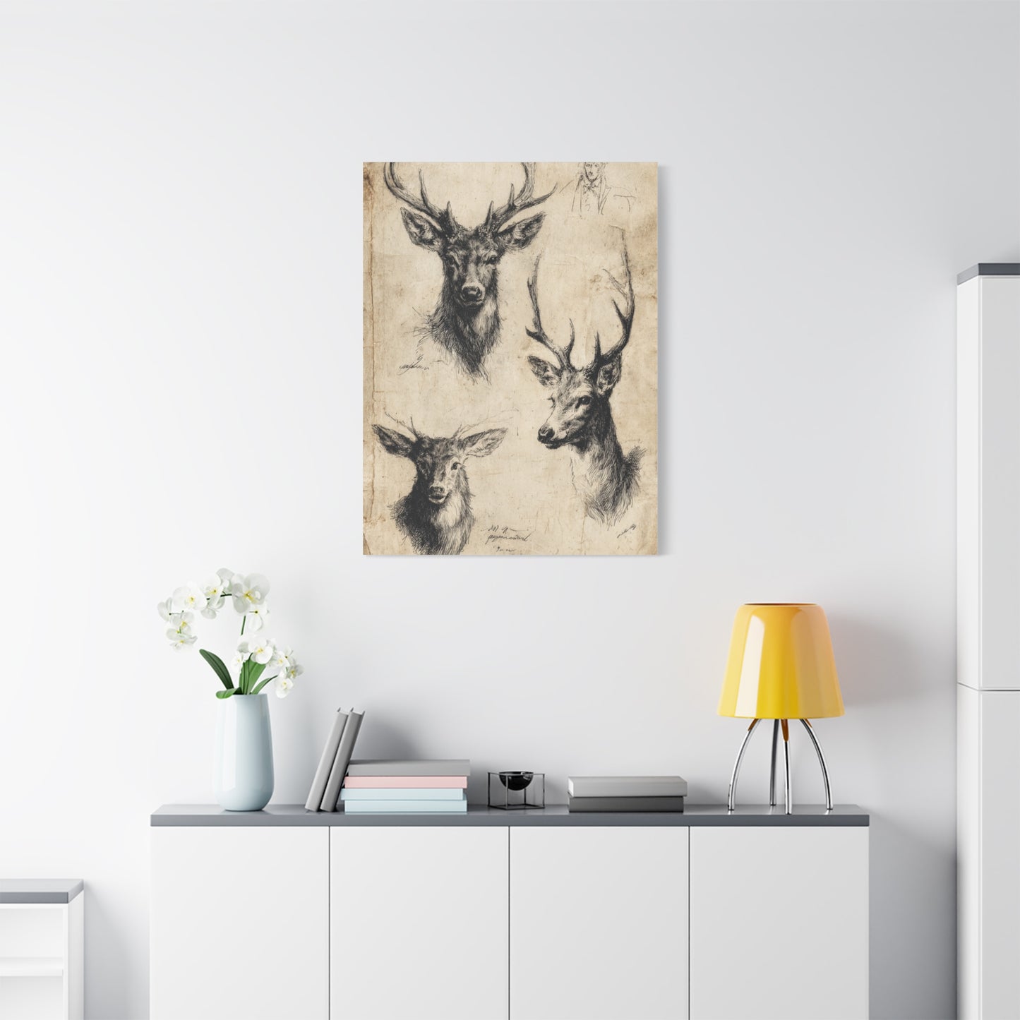 Vintage Natural History Deer Study Wall Art & Canvas Print