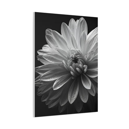 Chrysanthemum in Timeless Shadow Wall Art & Canvas Prints
