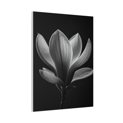 Magnolia Blossom Serenity Monochrome Wall Art & Canvas Prints