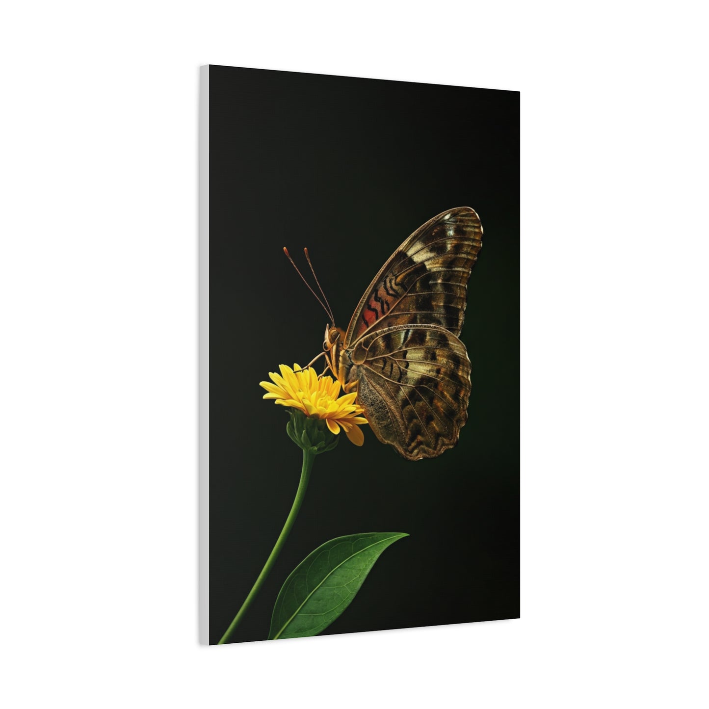 Golden Meadow Butterfly On Yellow Blossom Wall Art & Canvas Prints