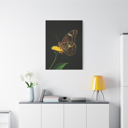 Golden Meadow Butterfly On Yellow Blossom Wall Art & Canvas Prints