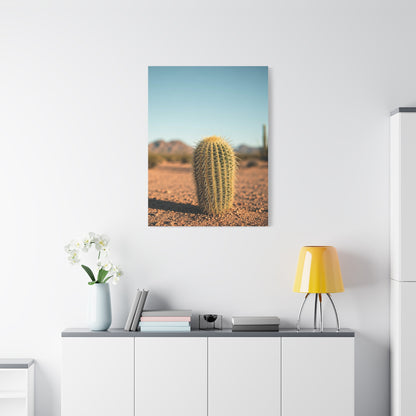 Barrel Cactus Desert Minimalism Wall Art & Canvas Prints