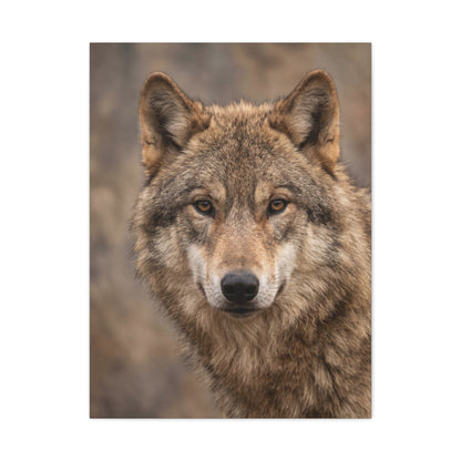 Natural Gray Wolf Close Portrait Wall Art & Canvas Print
