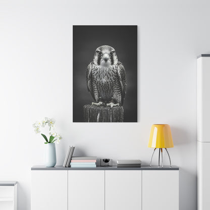 Majestic Falcon Portrait Wall Art & Canvas Prints