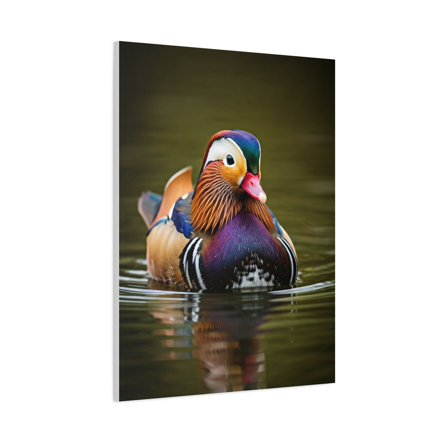 Mandarin Duck with Colorful Plumage Wall Art & Canvas Prints