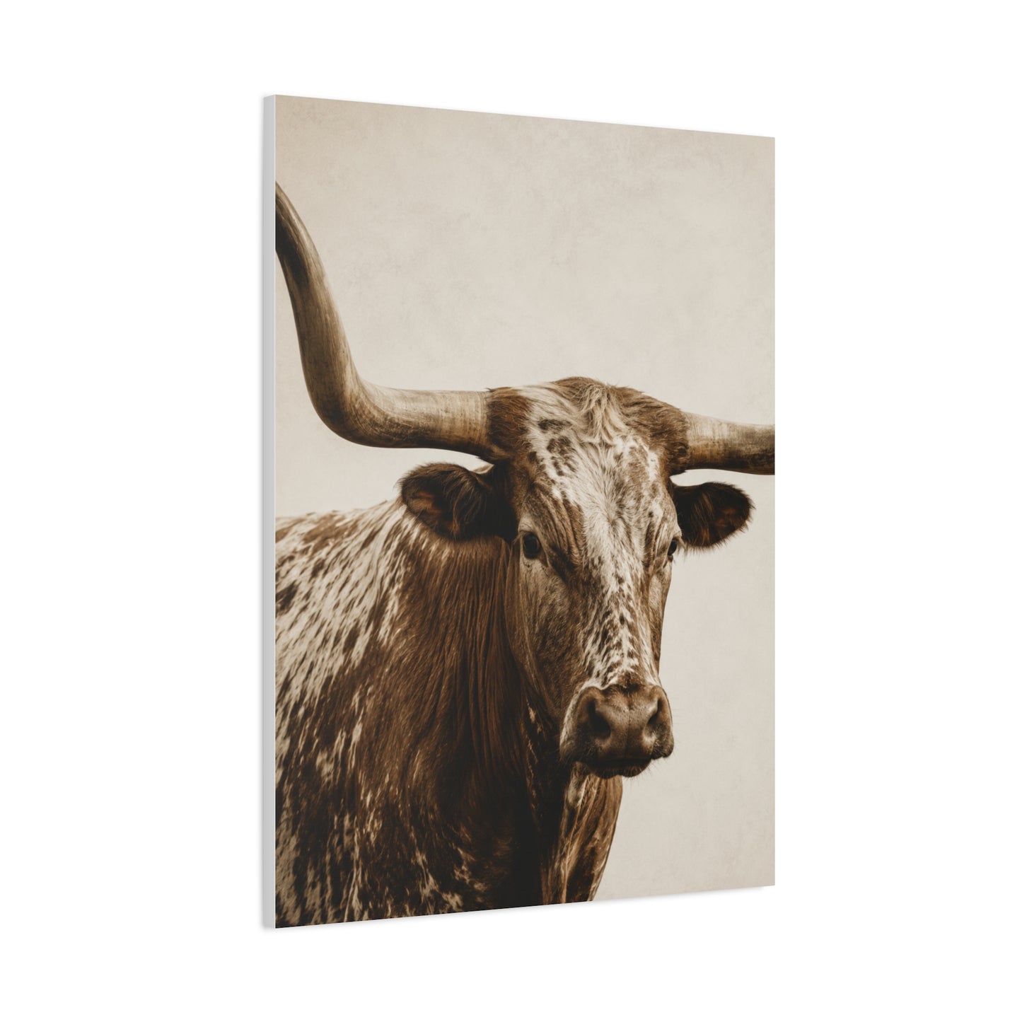 Texas Longhorn Heritage Portrait Wall Art & Canvas Print