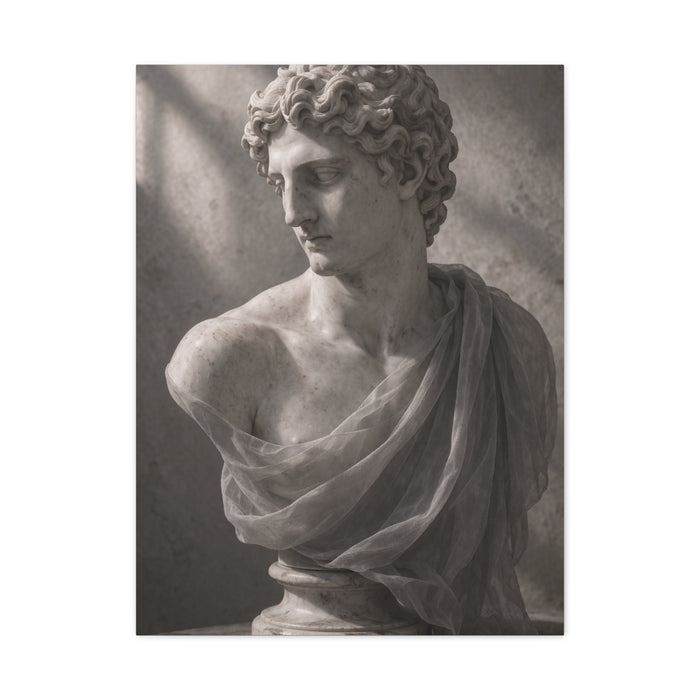 Classical Marble Bust Draped Wall Art & Canvas Print