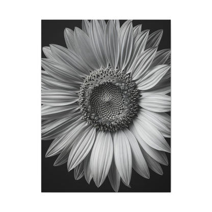 Velvet Orchid Bloom in Monochrome Wall Art & Canvas Prints