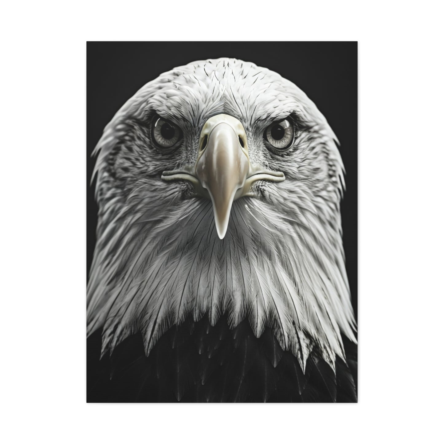 Bald Eagle Power Portrait Wall Art & Canvas Prints
