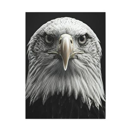 Bald Eagle Power Portrait Wall Art & Canvas Prints