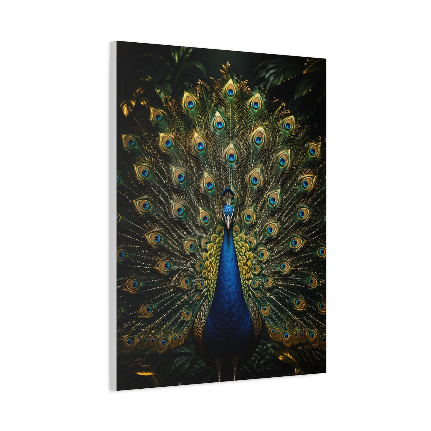 Opulent Jungle Peacock Display Wall Art & Canvas Print