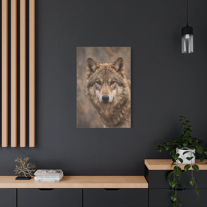 Natural Gray Wolf Close Portrait Wall Art & Canvas Print