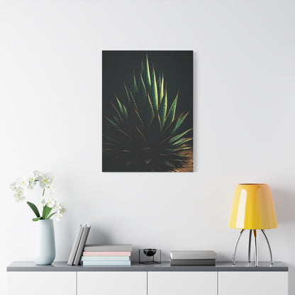 Midnight Agave Sculpture Wall Art & Canvas Prints
