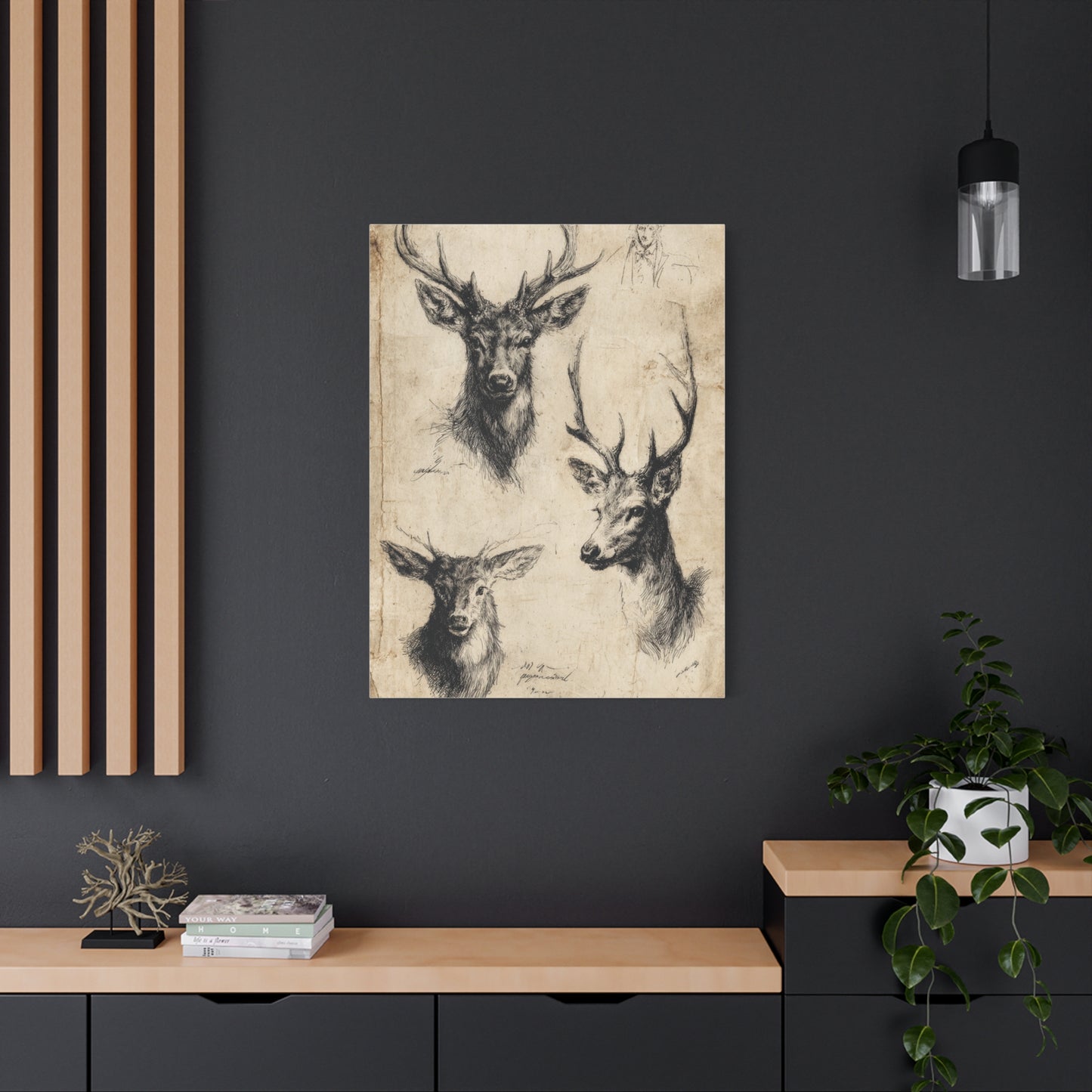Vintage Natural History Deer Study Wall Art & Canvas Print