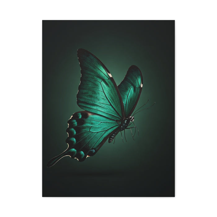 Emerald Swallowtail Butterfly in Shadow Light Wall Art & Canvas Prints