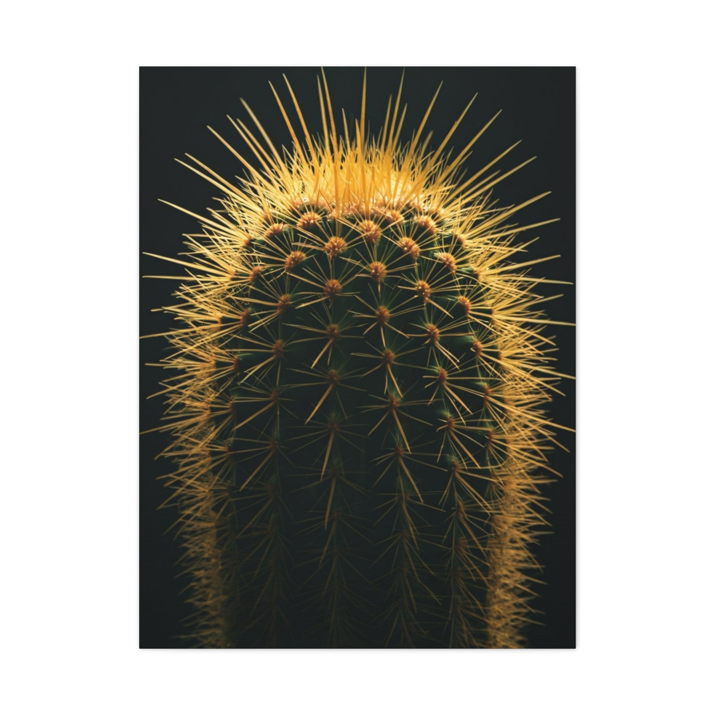 Golden Halo Cactus Sculpture Wall Art & Canvas Prints
