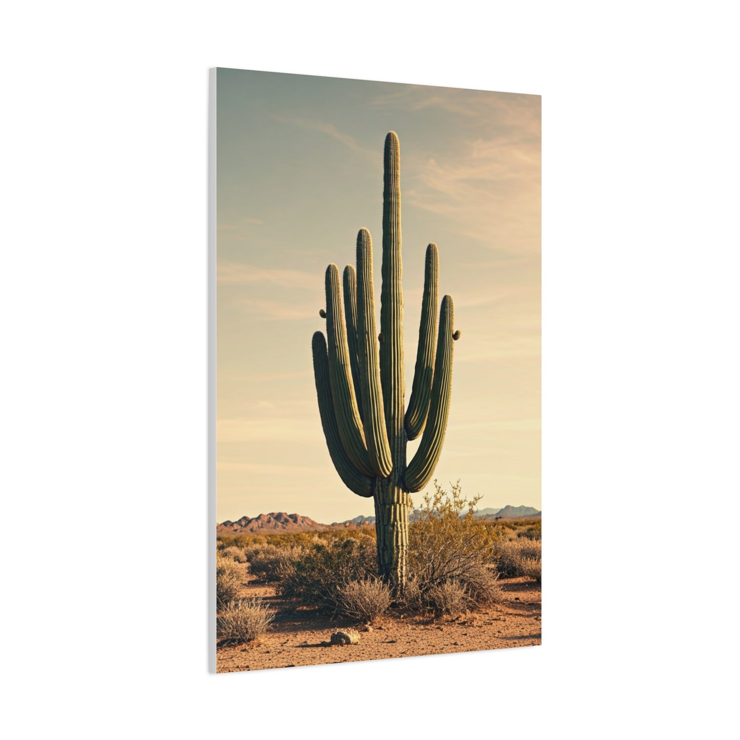 Golden Desert Saguaro Landscape Wall Art & Canvas Prints