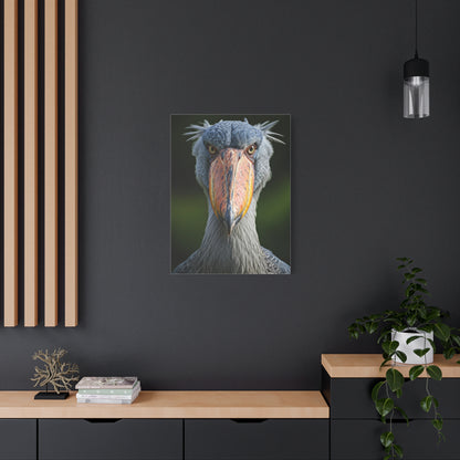 Majestic Shoebill Stork Close-Up Wall Art & Canvas Prints