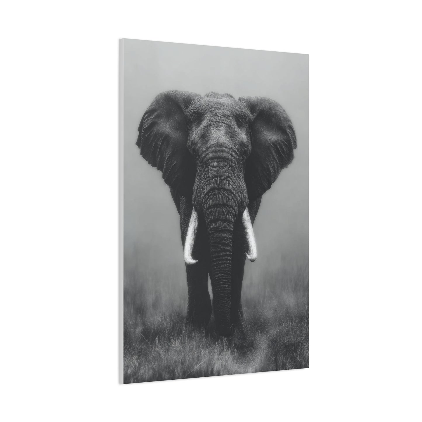 Copy of Sculptural Driftwood Bonsai Wall Art & Canvas Print