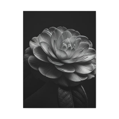 Camellia Bloom in Shadow Monochrome Wall Art & Canvas Prints