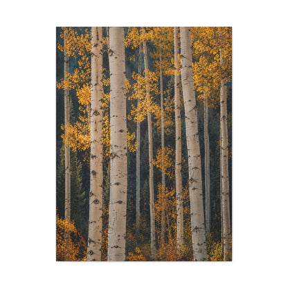 Golden Aspen Forest Autumn Vertical Trees Wall Art & Canvas Print